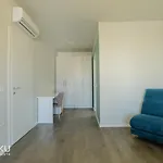 Miku - Luxurious 2bedroom At Olympic * Tirana